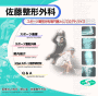 佐藤整形外科